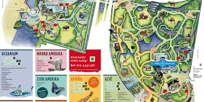 Mapa de Rotterdam zoo 